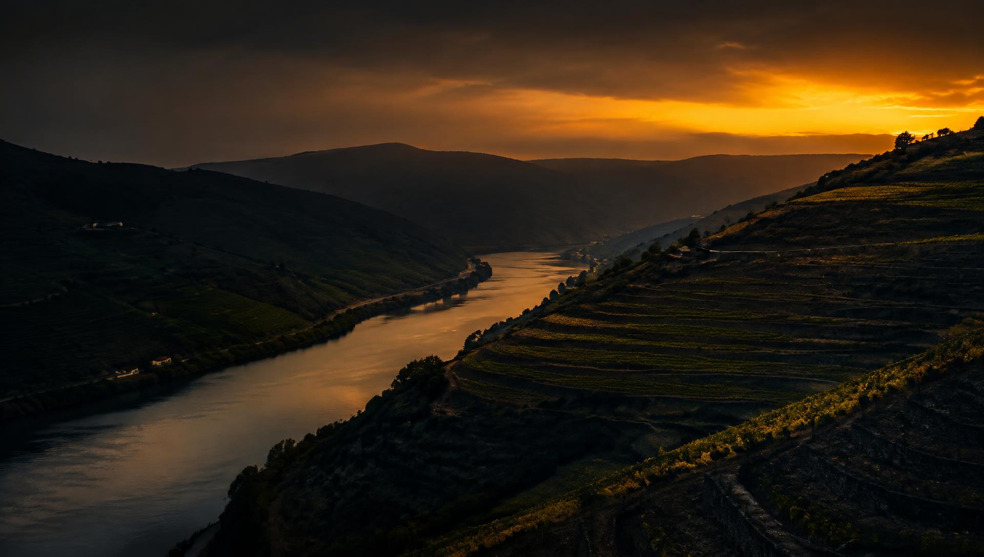 Douro Valley terraces at dusk