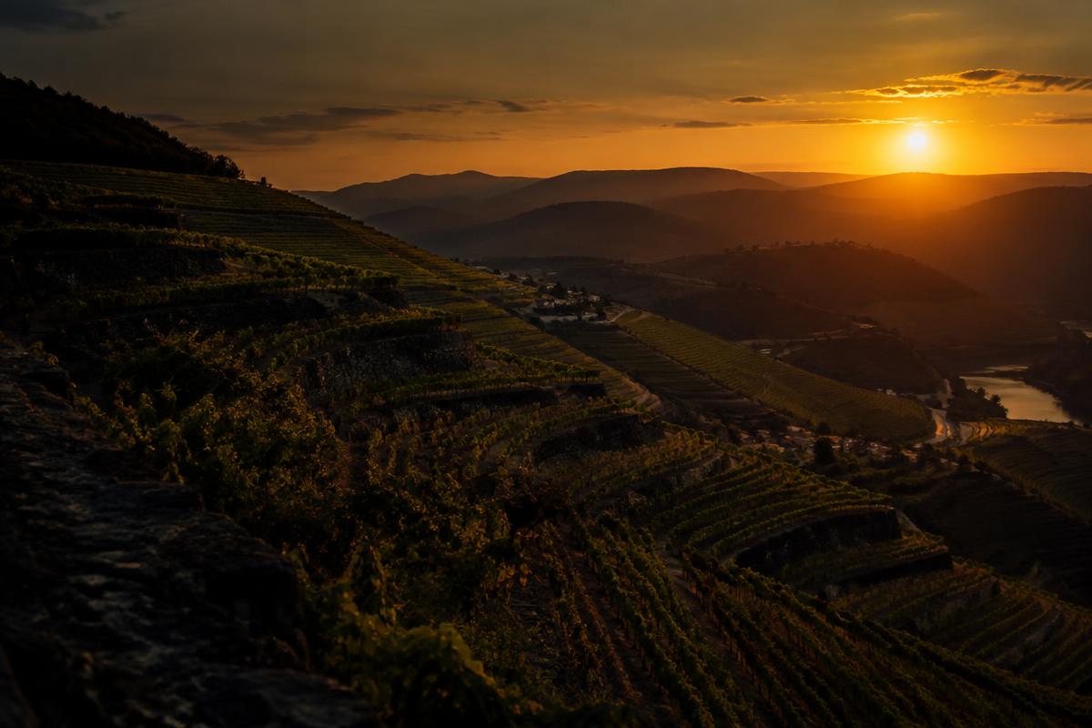 Douro Valley